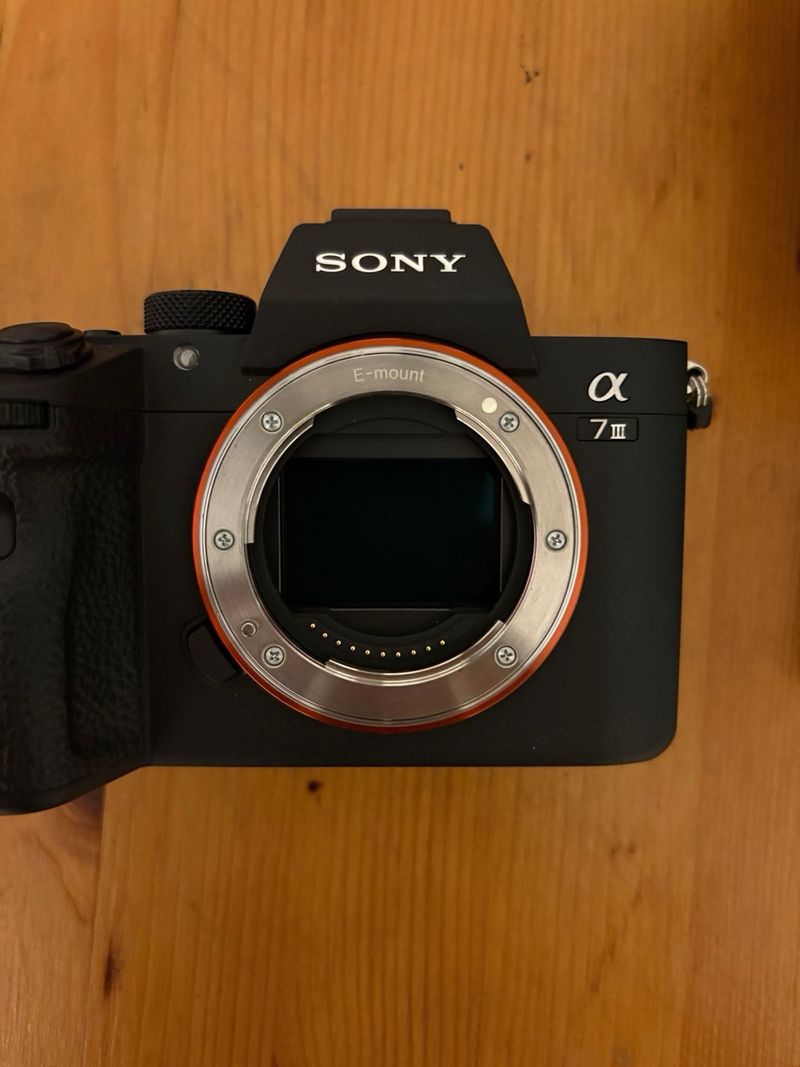 Sony A7III + Samyang 85mm f1.4 + Mochila Protector afbeelding 3