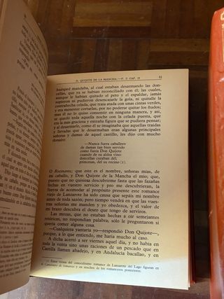 DON QUIJOTE DE LA MANCHA. M. CERVANTES. ILUSTRACIO