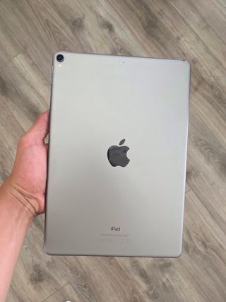 Apple iPad Pro 10.5 Plata/Gris Espacial