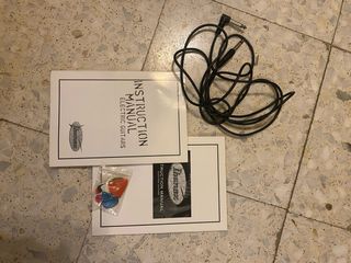 Guitarra Ibanez con funda