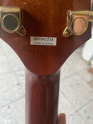 Guitarra Ibanez con funda