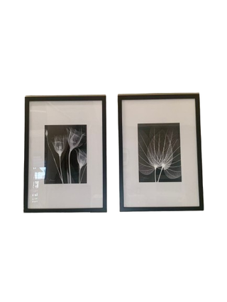 Set di 2 quadri NUOVI