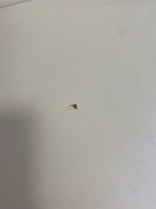 Dormitorio infantil completo