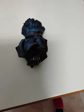 2 Ombrelli pieghevoli con stampa floreale