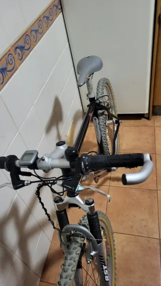 Bicicleta de montaña