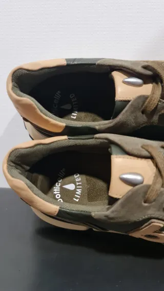 Scarpe uomo Roberto Botticelli n.42