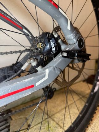 Bergamont Fastlane 29” Marathon Race