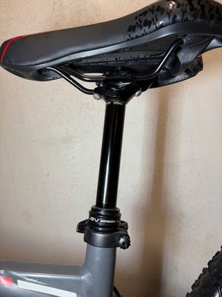 Bergamont Fastlane 29” Marathon Race