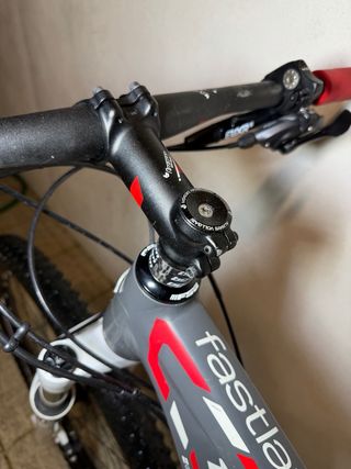 Bergamont Fastlane 29” Marathon Race