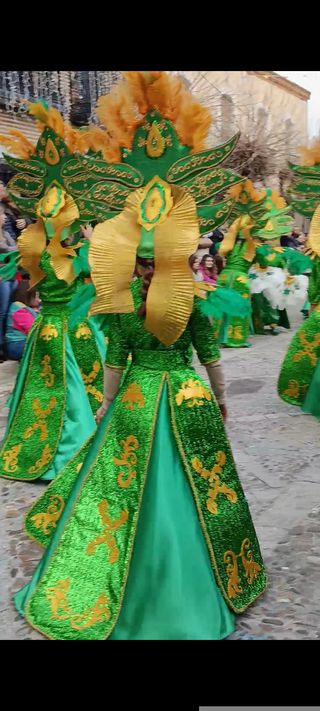 Disfraz Carnaval Talla Única