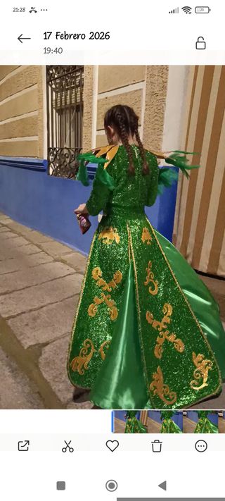 Disfraz Carnaval Talla Única