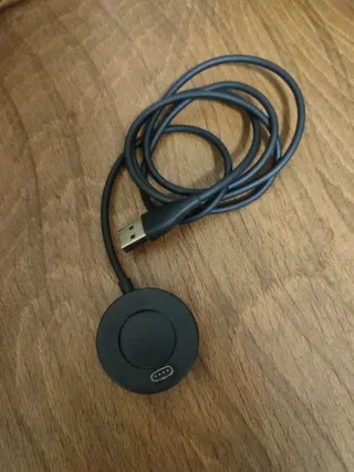 Reloj Garmin Fenix 5S GPS Multisport