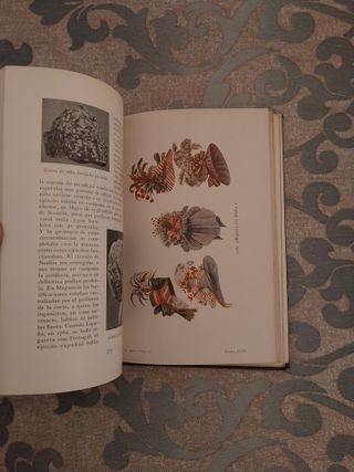 LA MODA HISTORIA DEL TRAJE EN EUROPA 8 VOLUMENES