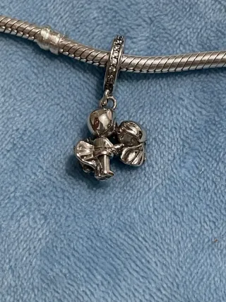 Charm recién casados