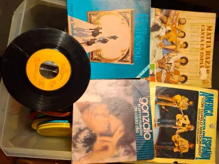 Vinilo single. Lo que se ve, tengo. 10 x und