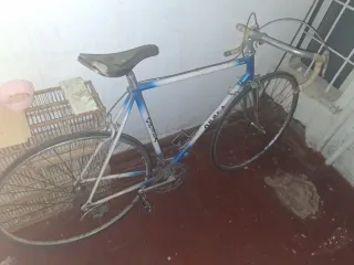 Bicicleta Orbea Clásica
