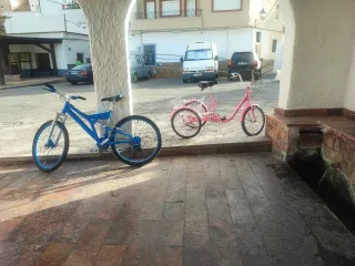 Bicicleta azul y triciclo rosa