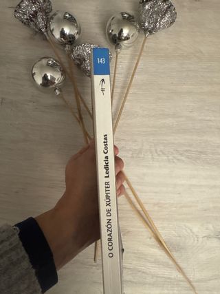 O corazón de Xúpiter de Ledicia Costas