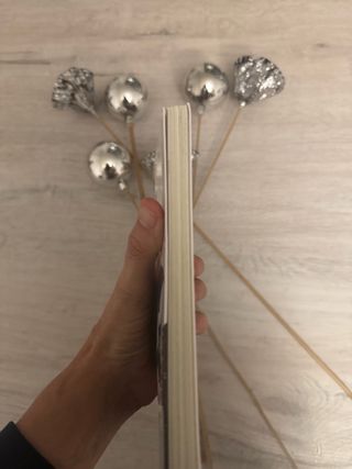 Vampira de biblioteca