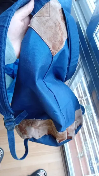 Reebok Saco Azul y Marrón