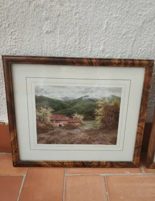 Due quadri incorniciati con vetro