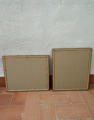 Due quadri incorniciati con vetro