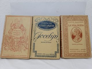 Lote 9 Libros Antiguos Montaner y Simón
