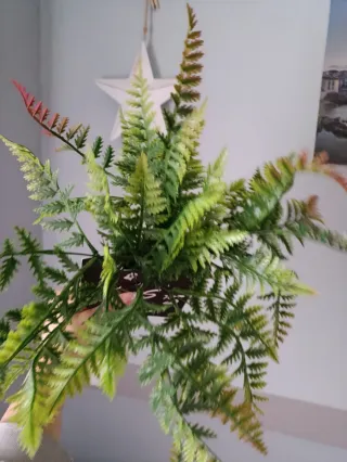 Plantas artificiales helecho