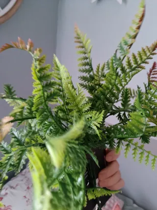 Plantas artificiales helecho