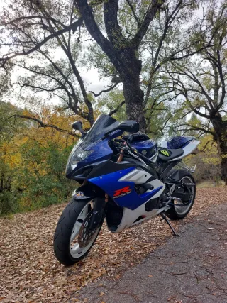 Suzuki GSX-R 1000