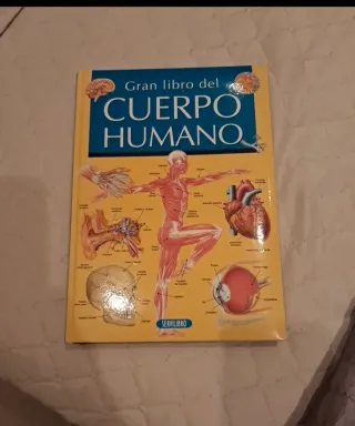Libro El Gran Libro del Cuerpo Humano