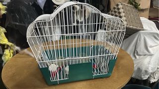 Jaula para pájaros blanca y verde