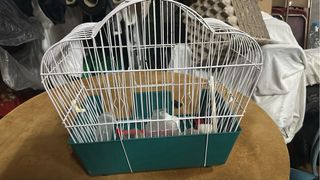 Jaula para pájaros blanca y verde