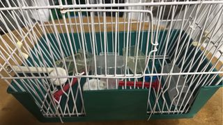 Jaula para pájaros blanca y verde
