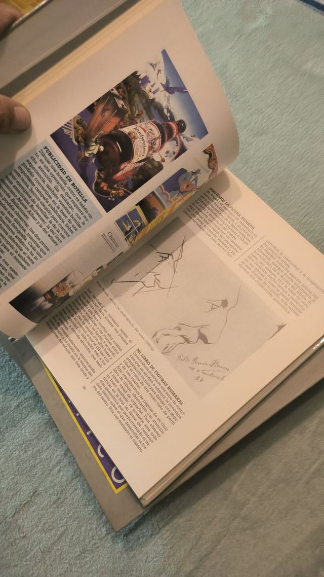 Curso Diseño Gráfico ORBIS-FABRI