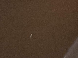 apple iphone 14 plus 256gb