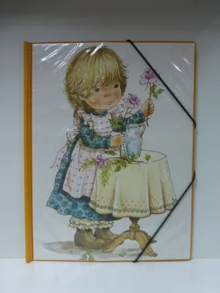 CARPETA-PORTAFOLIOS-FICHERO MARY MAY-ALMACÉN-ENVÍO