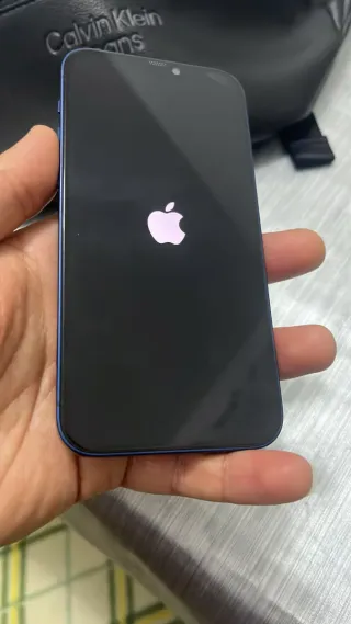 iPhone 12 256GB Azul