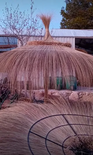 Sombrilla de paja para playa o piscina