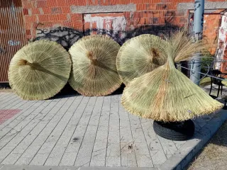 Sombrilla de paja para playa o piscina