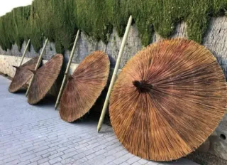 Sombrilla de paja para playa o piscina