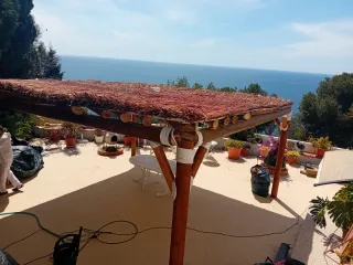 Sombrilla de paja para playa o piscina