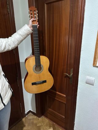 Guitarra con funda