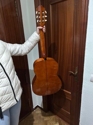 Guitarra con funda