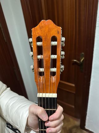 Guitarra con funda
