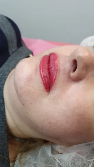 Micropigmentación Cejas y Labios