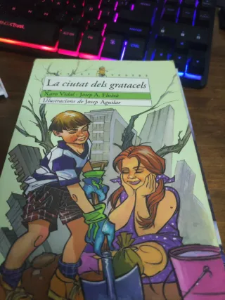 La ciutat dels gratacels