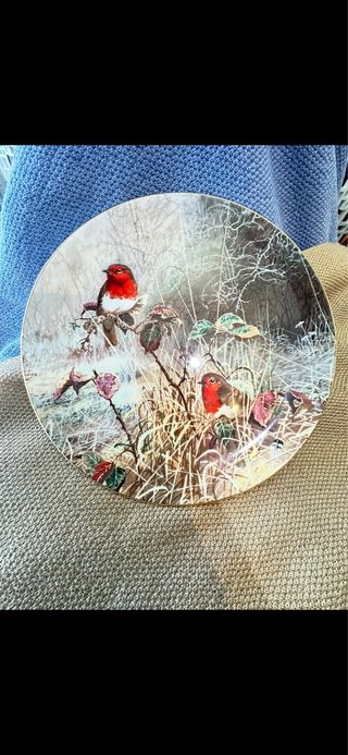 Plato de porcelana Coalport Robin Redbreast