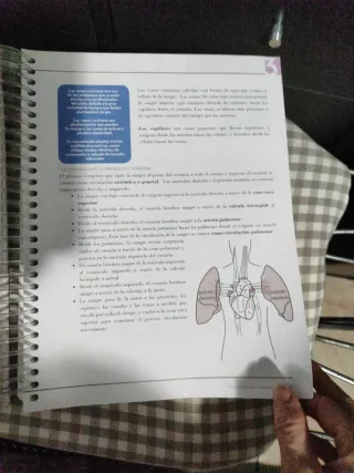 Fundamentos de cosmetología teoría
