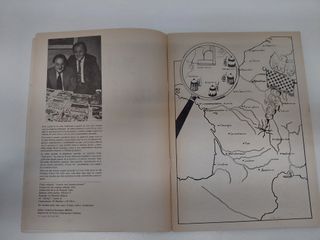 Asterix y las nucleares